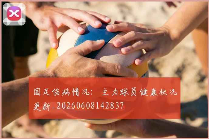 国足伤病情况：主力球员健康状况更新_20260608142837