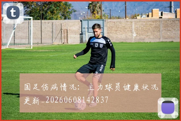 国足伤病情况:主力球员健康状况更新_20260608142837